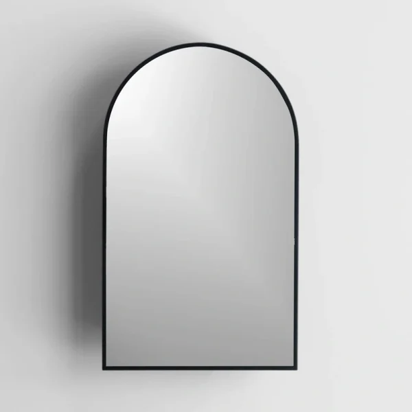 18-in x 30-in Surface Mount Black Mirrored Arched Medicine Cabinet