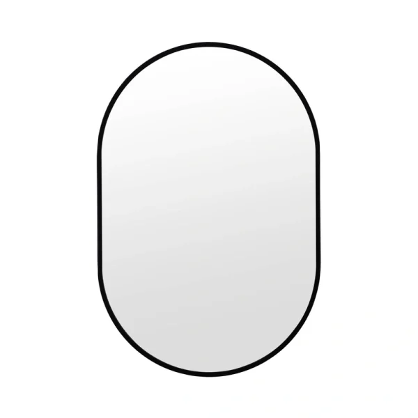20-in x 30-in Surface Mount Black Mirrored Oval Medicine Cabinet