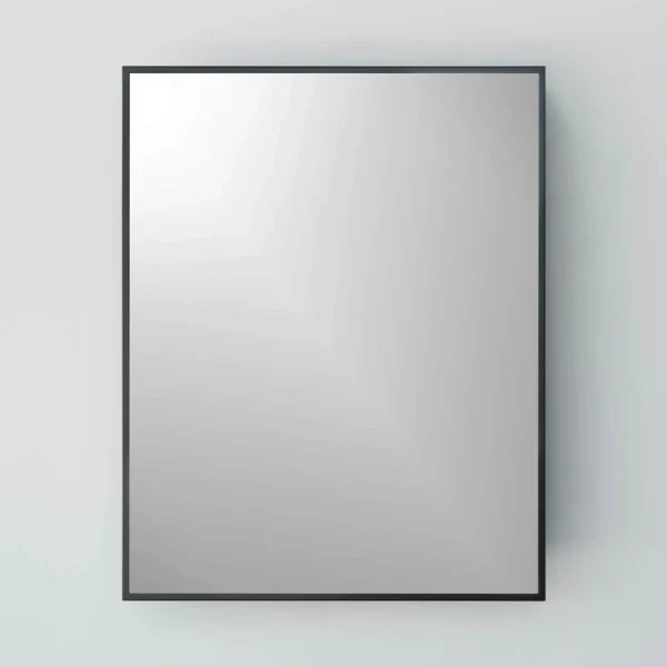 22-in x 28-in Surface Mount Black Mirrored Medicine Cabinet