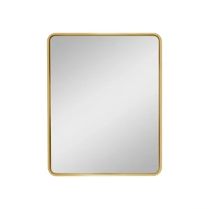 AAZJ 20-in x 28-in Surface/Recessed Mount Gold Mirrored Soft Close Medicine Cabinet