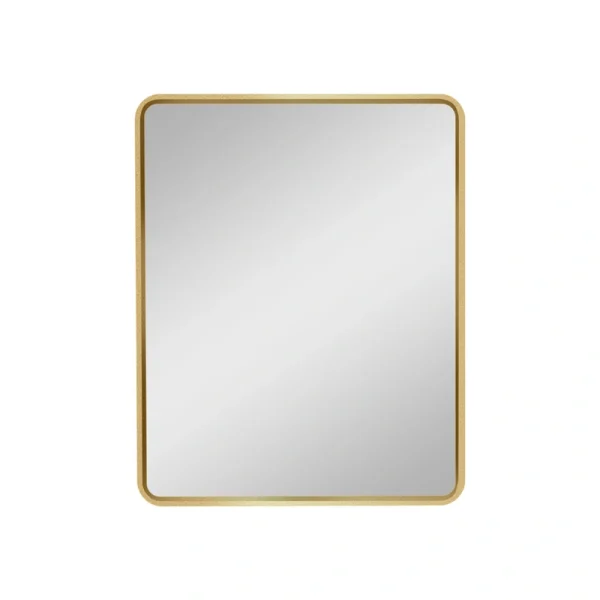 AAZJ 20-in x 28-in Surface/Recessed Mount Gold Mirrored Soft Close Medicine Cabinet