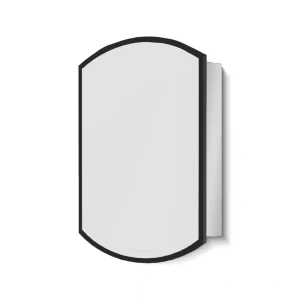 AAZJ AO 22-in x 31-in Surface/Recessed Mount Black Mirrored Soft Close Medicine Cabinet
