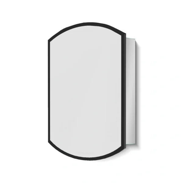 AAZJ AO 22-in x 31-in Surface/Recessed Mount Black Mirrored Soft Close Medicine Cabinet