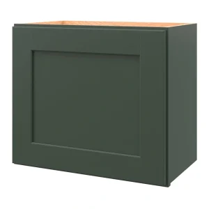 allen + roth Galway 21-in W x 18.125-in H x 12-in D Sage Wall Fully Assembled Cabinet (Flat Panel Shaker Door Style)