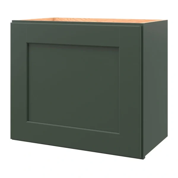 allen + roth Galway 21-in W x 18.125-in H x 12-in D Sage Wall Fully Assembled Cabinet (Flat Panel Shaker Door Style)