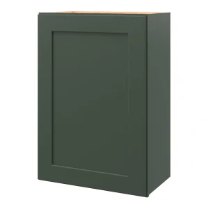 allen + roth Galway 21-in W x 30.125-in H x 12-in D Sage Wall Fully Assembled Cabinet (Flat Panel Shaker Door Style)
