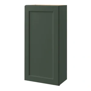 allen + roth Galway 21-in W x 42.125-in H x 12-in D Sage Wall Fully Assembled Cabinet (Flat Panel Shaker Door Style)