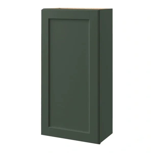 allen + roth Galway 21-in W x 42.125-in H x 12-in D Sage Wall Fully Assembled Cabinet (Flat Panel Shaker Door Style)