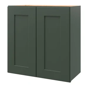 allen + roth Galway 24-in W x 24.5-in H x 12-in D Sage Wall Fully Assembled Cabinet (Flat Panel Shaker Door Style)