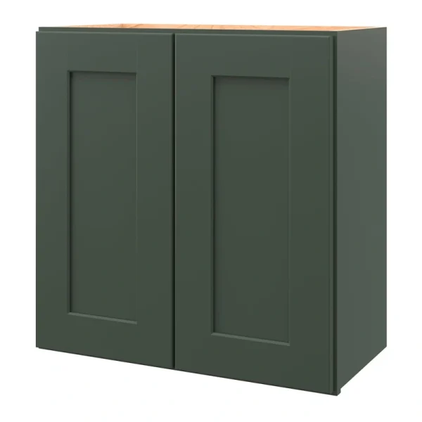 allen + roth Galway 24-in W x 24.5-in H x 12-in D Sage Wall Fully Assembled Cabinet (Flat Panel Shaker Door Style)
