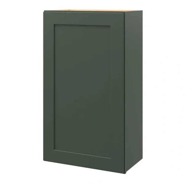 allen + roth Galway 24-in W x 30.125-in H x 12-in D Sage Wall Fully Assembled Cabinet (Flat Panel Shaker Door Style) T726926647