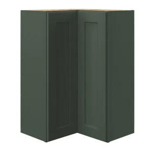 allen + roth Galway 24-in W x 36.125-in H x 12-in D Sage Diagonal Corner Wall Fully Assembled Cabinet (Flat Panel Shaker Style) T726926637