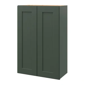 allen + roth Galway 24-in W x 36.125-in H x 12-in D Sage Wall Fully Assembled Cabinet (Flat Panel Shaker Door Style) T726926635