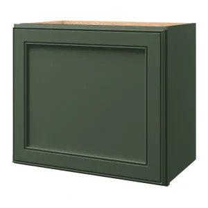 allen + roth Heathrow 21-in W x 18.125-in H x 12-in D Sage Wall Fully Assembled Cabinet (Recessed Panel Square Door Style)