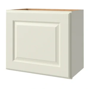 allen + roth Pattingham 21-in W x 18.125-in H x 12-in D Harbor Wall Fully Assembled Cabinet (Raised Panel Square Door Style)