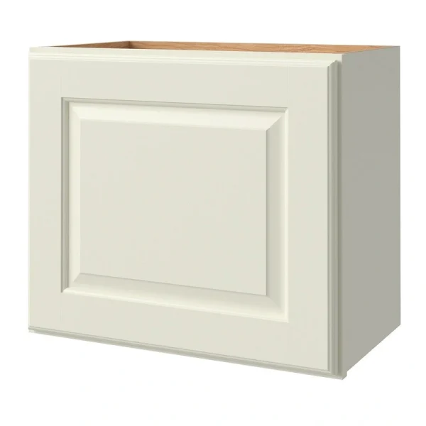 allen + roth Pattingham 21-in W x 18.125-in H x 12-in D Harbor Wall Fully Assembled Cabinet (Raised Panel Square Door Style)
