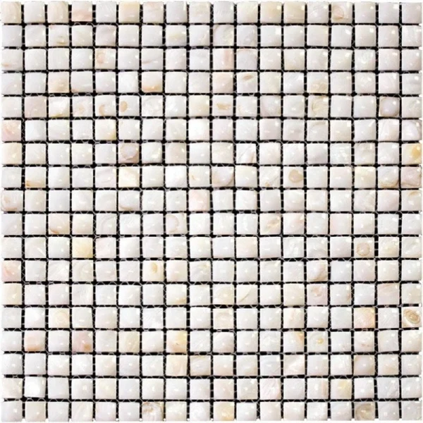 Apollo Tile (Sample) Wall Beige Natural Shell 4-in x 4-in Polished Marble Uniform Squares Patterned Wall Tile