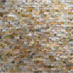 Apollo Tile (Sample) Wall Tile Beige Shell 4-in x 4-in Polished Marble Wall Tile