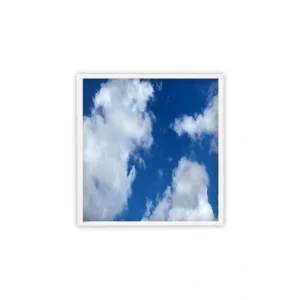 BEYOND LED TECHNOLOGY ELITE 2nd Gen : LED Flat Panel Cloud Design (4-Pack)