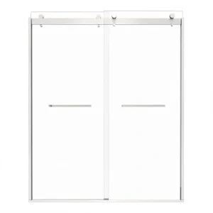 Boosicavelly 60 in. W x 74 in. H Double Sliding Semi-Frameless Shower Door in Brushed Nickel Finish with Tempered Glass
