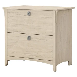 Bush Furniture Salinas Antique White 2-Drawer 31.73-in File Cabinet