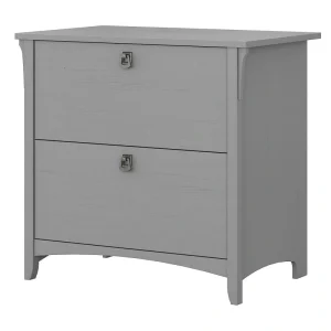 Bush Furniture Salinas Cape Cod Gray 2-Drawer 31.73-in File Cabinet