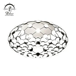 DLSS Lighting Acrylic Globe Web Chandelier Lamp and Ceiling Light for Living Room
