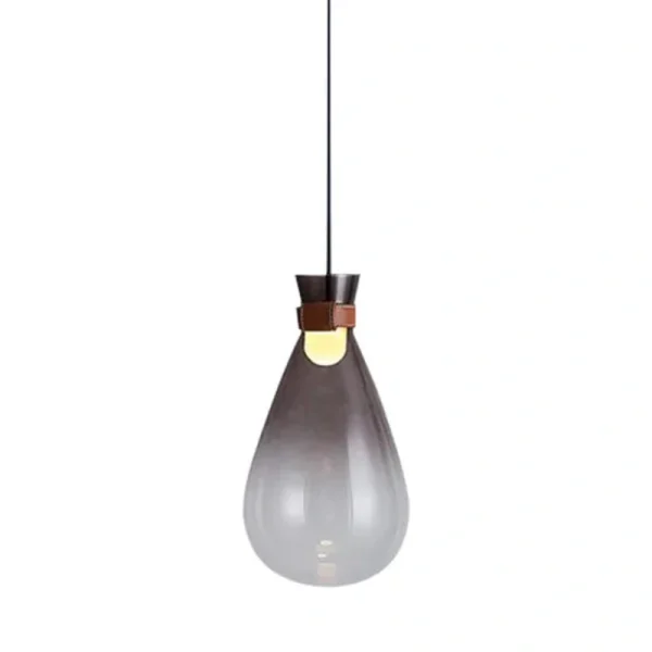 DLSS Lighting Beautiful Shaped Pendant Light