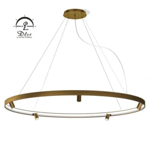 DLSS Lighting Co., Ltd. Aluminum Black Modern Hanging LED Chandelier Pendant Light