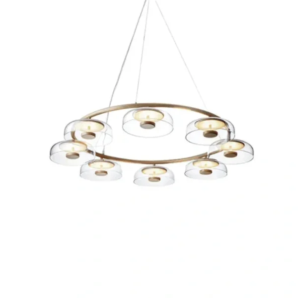 DLSS Lighting Co., Ltd. Beautiful Pendant Lamp with Affordable Price