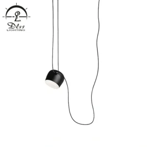 DLSS Lighting Co., Ltd. Fashion Pendant Lighting with Cheap Price LED Hotel Pendant Lamp
