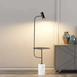 DLSS Lighting Co., Ltd Hotel Decoration Floor Lighting Outside Black Glod Bedside Living Room Floor Lamp