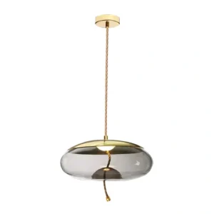 DLSS Lighting Co., Ltd Modern Style Lantern Decoractive Lighting Pendant Lamp