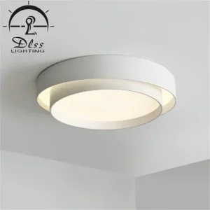 DLSS Lighting Hot Sale LED Light Home Decoration Bedroom Acrylic with Iron Modern Ceiling Lighting