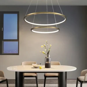 DLSS Lighting Wholesale LED Pendent Lamp Interior Office Lighting Home Decorative Morden LED Chandelier