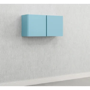 Everest 36-in W x 18-in H Steel Modern Blue Wall-mount Utility Storage Cabinet