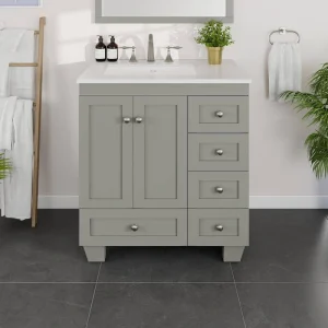 Eviva Acclaim 30 in. W x 22 in. D x 34 in. H Single Sink Transitional Bath Vanity in Gray with White Carrara Quartz Top