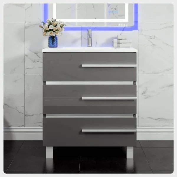 Eviva Deluxe 24 in.W x 18 in.D x 34in.H Single Freestanding Bath Vanity in Gray with White Porcelain Integrated Sink Top