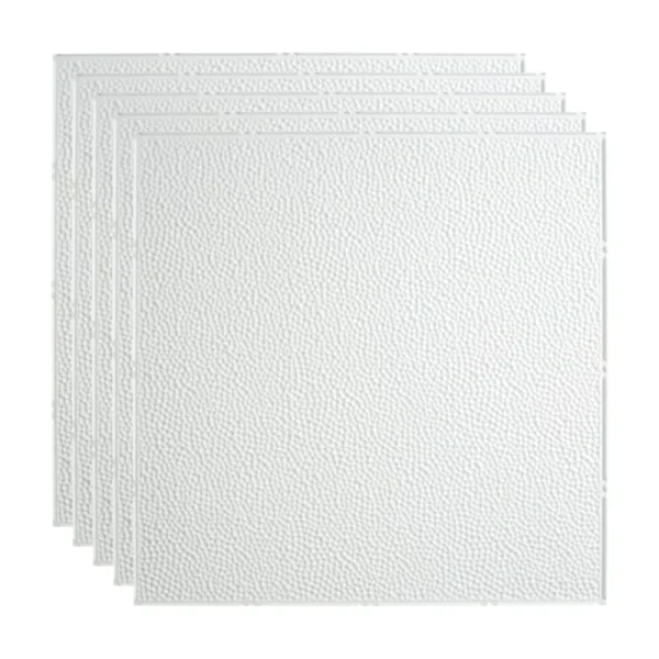 Fasade 2-ft x 2-ft Border Fill Gloss White PVC Drop Ceiling Tile (5-Pack, 20-sq ft / Case)