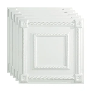 Fasade 2-ft x 2-ft Coffer Gloss White PVC Drop Ceiling Tile (5-Pack, 20-sq ft / Case)