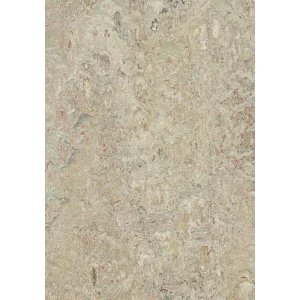 Forbo Flooring Systems Forbo Marmoleum Cinch Loc Seal Agate 11.81″ x 35.43″ Linoleum Panel (20.34 sq.ft/ctn)