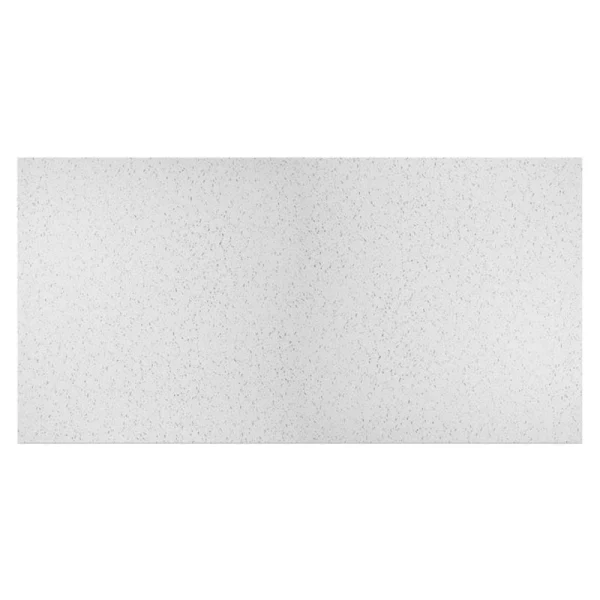 Genesis 4-ft x 2-ft Printed Pro White PVC Drop Ceiling Tile (1-Pack, 8-sq ft / Case)