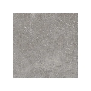 Giorbello (Sample) Ambience Natural Gray 24-in x 24-in Matte Porcelain Stone Look Floor and Wall Tile