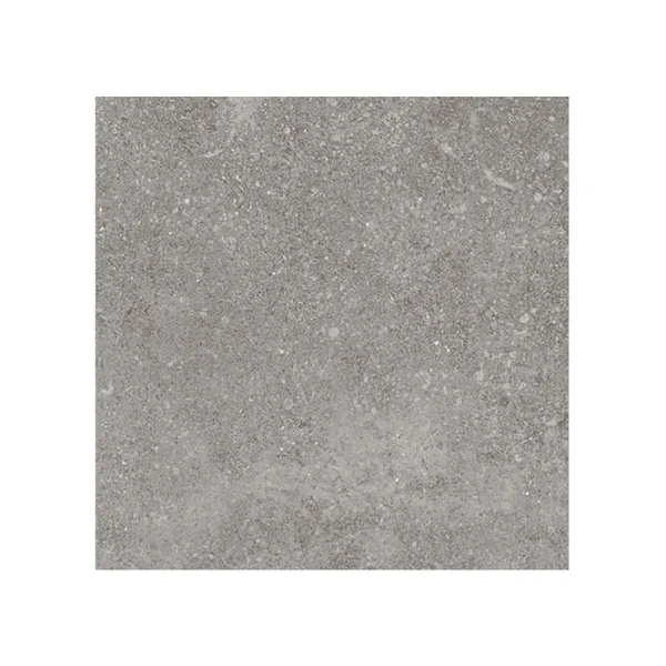 Giorbello (Sample) Ambience Natural Gray 24-in x 24-in Matte Porcelain Stone Look Floor and Wall Tile