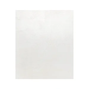 Giorbello (Sample) White 4-in x 6-in Matte Porcelain Floor and Wall Tile