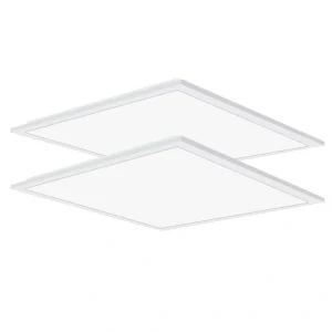 Honbei 2 ft. x 2 ft. 5800 LM Integrated LED Panel Light 5000K LED Panel Lights Recessed Edge-Lit for Commercial Office (2-Pack)