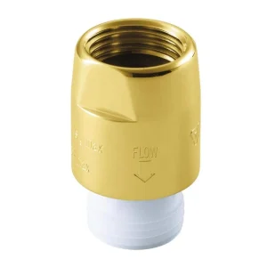 KOHLER 1/2 in. x 1/2 in. Vacuum Breaker in Vibrant Polished Brass