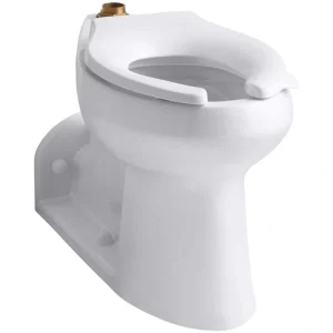 KOHLER Anglesey Elongated Toilet Bowl Only in White T726939080