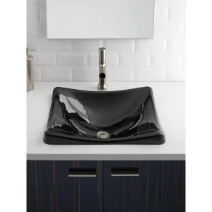 KOHLER DemiLav Wading Pool Cast Iron Vessel Sink in Black