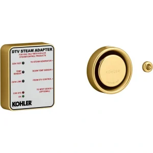 KOHLER Invigoration DTV+ Steam Adapter Kit